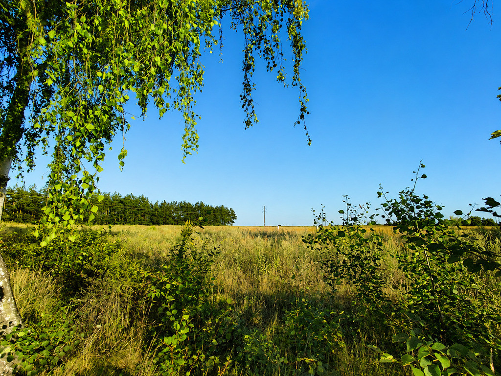 Działka Sprzedaż Sława 3
