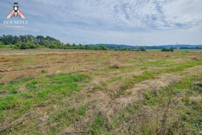 Działka Sprzedaż Wierzbnica