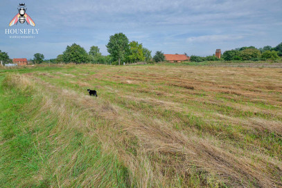 Działka Sprzedaż Wierzbnica