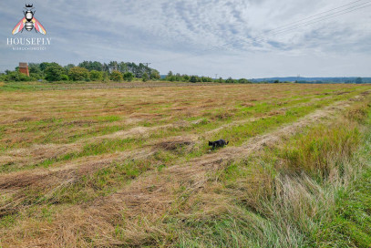 Działka Sprzedaż Wierzbnica