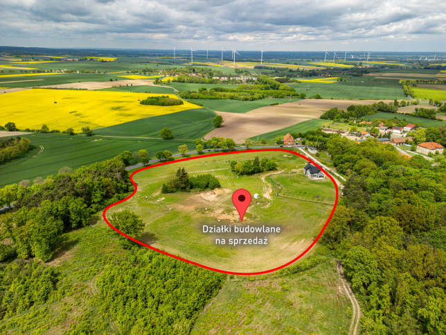 Działka Sprzedaż Dankowice 6