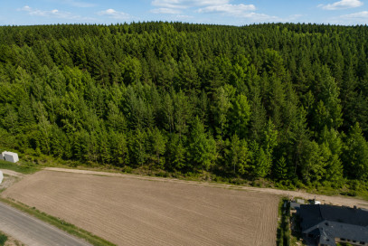 Działka Sprzedaż Obiszów