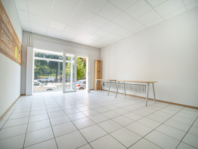 Lokal Wynajem Głogów Aleja Wolności 3