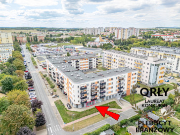 Lokal Wynajem Głogów Merkurego