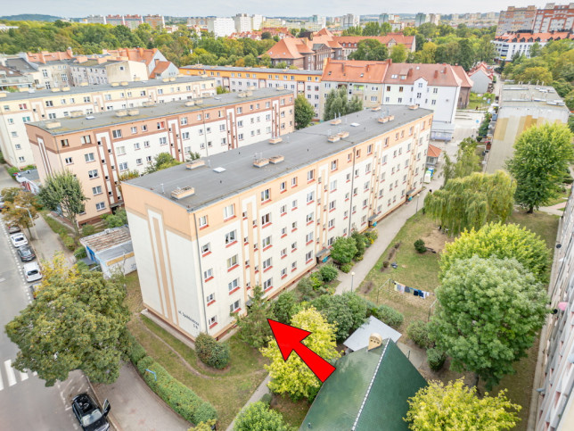 Mieszkanie Wynajem Głogów Spółdzielcza 10