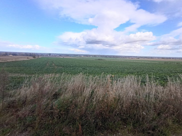 Działka Sprzedaż Głogów Książąt Cieszyńskich